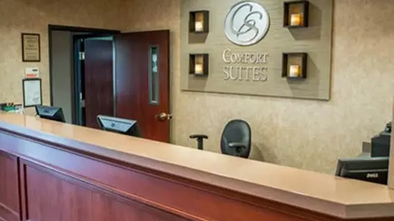 Comfort Suites Southwest Lakewood | Kolorado - Denver (ve civarı) - Lakewood