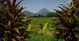 Hotel Jardines Arenal | Alajuela (ili) - San Carlos (kantonu) - La Fortuna