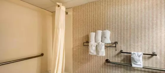 Quality Inn & Suites Laurel | Maryland - Baltimore (ve civarı) - Laurel