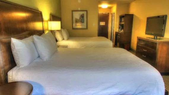 HILTON GARDEN INN GATLINBURG | Tennessee - Gatlinburg - Pigeon Forge (ve civarı) - Gatlinburg