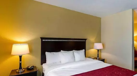 Comfort Suites University Abilene | Teksas - Abilene (ve civarı) - Abilene