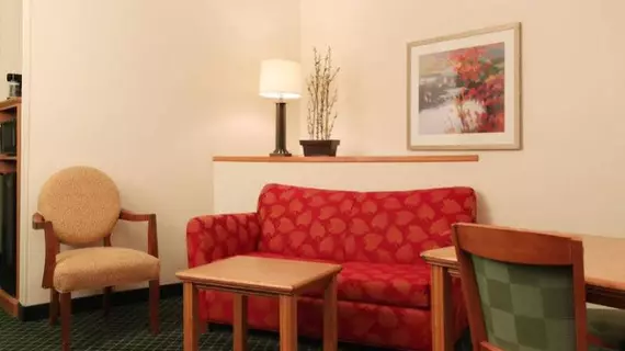 Fairfield Inn & Suites Kansas City North Near Worlds of Fun | Missouri - Kansas City (ve civarı) - Kansas