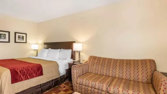 Comfort Inn and Suites Jasper | Alabama - Jasper