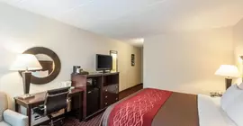 Comfort Inn Annapolis | Maryland - Annapolis (ve civarı) - Annapolis