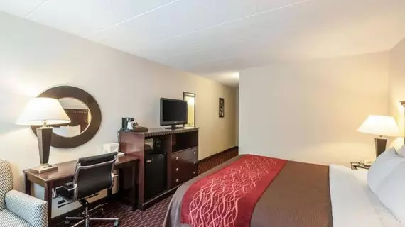 Comfort Inn Annapolis | Maryland - Annapolis (ve civarı) - Annapolis