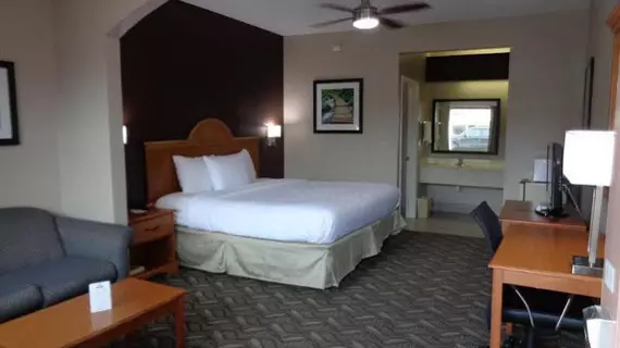 DAYS INN HOUSTON-GALLERIA, TX | Teksas - Houston (ve civarı) - Houston