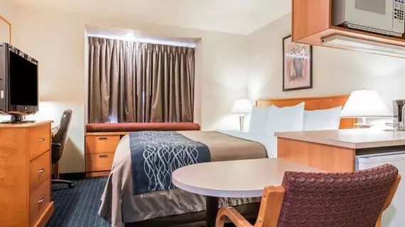 Comfort Inn & Suites Salinas | Kaliforniya - Monterey (ve civarı) - Salinas