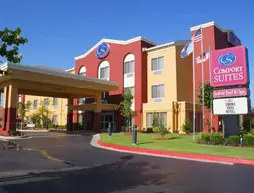 Comfort Suites Central / I-44 | Oklahoma - Tulsa (ve civarı) - Tulsa