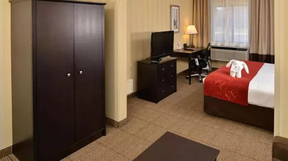 Comfort Suites Highlands Ranch/Littleton | Kolorado - Denver (ve civarı) - Highlands Ranch