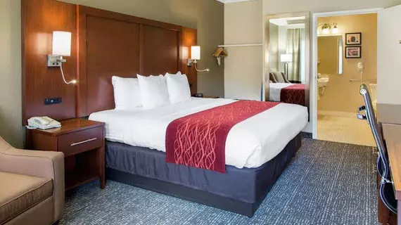 Comfort Inn & Suites San Francisco Airport North | Kaliforniya - San Fransisko (ve civarı) - South San Francisco