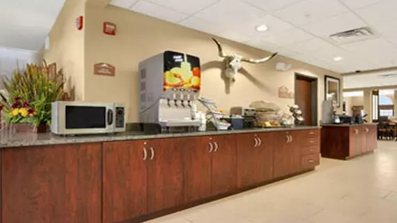 Microtel Inn & Suites by Wyndham Round Rock | Teksas - Austin (ve civarı) - Round Rock