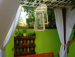 Cosmopolitan Hostel | Northeast Region - Pernambuco (eyaleti) - Recife (ve civarı) - Recife - Pina