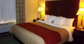 Comfort Inn & Suites Los Alamos | New Mexico - Santa Fe (ve civarı) - Los Alamos