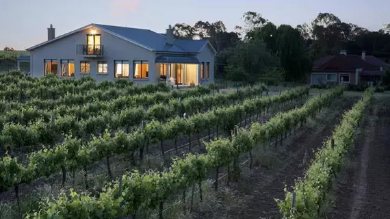 Barossa Shiraz Estate | Güney Avustralya - Lyndoch