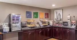 Comfort Suites Michigan Avenue | İllinois - Chicago (ve civarı) - Chicago - The Loop