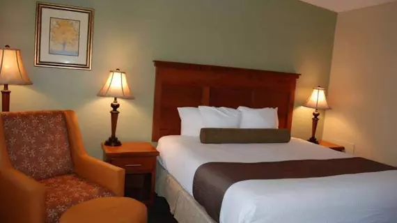 Best Western Plus Driftwood Inn | Idaho - Idaho Falls (ve civarı) - Idaho Falls