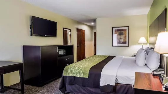 Comfort Inn | Alabama - Jackson (ve civarı) - Thomasville