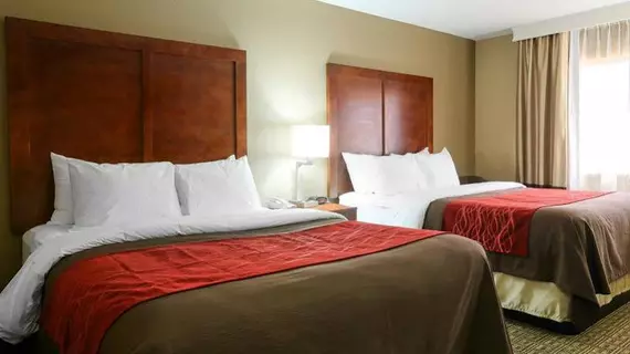 Comfort Inn & Suites Leeds | Alabama - Birmingham (ve civarı) - Leeds