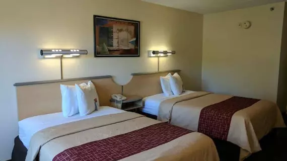 Red Roof Inn San Antonio Airport | Teksas - San Antonio (ve civarı) - San Antonio - Kuzey San Antonio - SAT Havalimanı