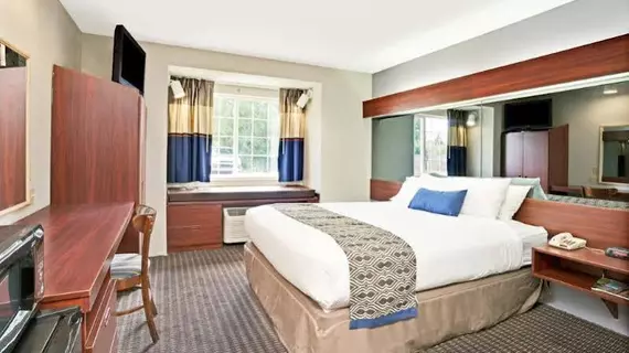 Microtel Inn & Suites by Wyndham Detroit Roseville | Michigan - Detroit (ve civarı) - Roseville