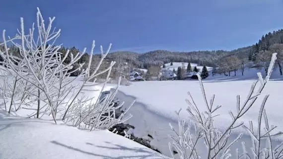 Hotel & Resort Fünfjahreszeiten | Baden-Wuerttemberg - Todtmoos