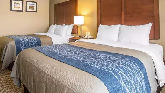 Comfort Inn Saint George North | Utah - St. George (ve civarı) - St. George