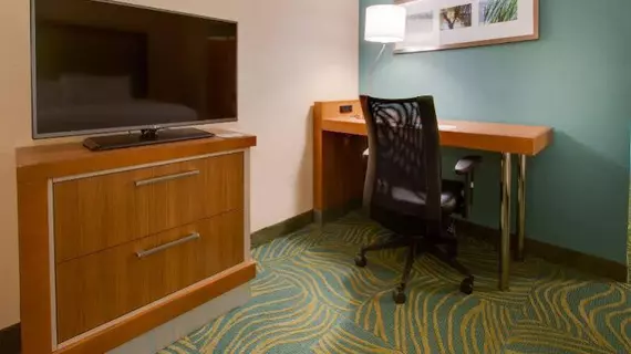 SpringHill Suites by Marriott Orlando Kissimmee | Florida - Orlando (ve civarı) - Lake Buena Vista - Disney's Maingate East