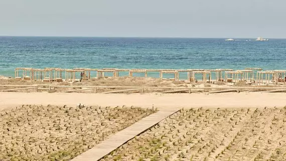 NAXIAN ON THE BEACH | Ege Adaları - Naxos