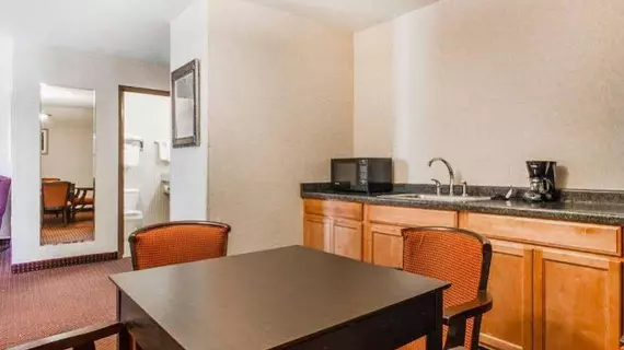 Comfort Inn & Suites Madison North | Wisconsin - Madison (ve civarı) - De Forest