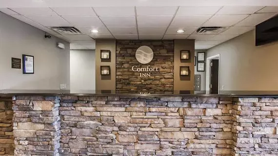 Comfort Inn Demopolis | Alabama - Demopolis (ve civarı) - Demopolis