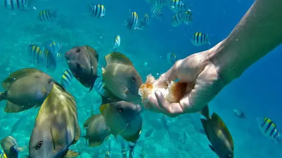 Vila Ombak | Batı Nusa Tenggara - Lombok - Gili Trawangan