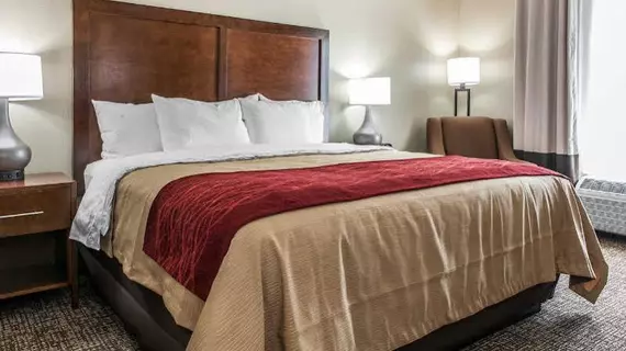 Comfort Inn and Suites | Kentucky - Lexington (ve civarı) - Mount Sterling