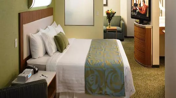 SpringHill Suites St. Louis Brentwood | Missouri - St. Louis (ve civarı) - Brentwood