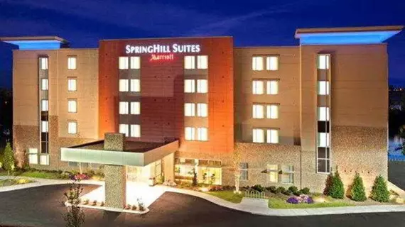 SpringHill Suites by Marriott Downtown Chattanooga/Cameron Harbor | Tennessee - Chattanooga (ve civarı) - Chattanooga - Downtown Chattanooga