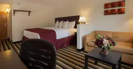 Jacksonville Plaza Hotel and Suites | Florida - Jacksonville (ve civarı) - Jacksonville