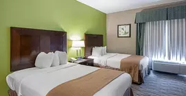 Quality Suites Sulphur | Louisiana - Lake Charles (ve civarı) - Sulphur