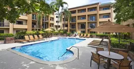 Courtyard by Marriott Miami Airport/West Doral | Florida - Miami (ve civarı) - Doral