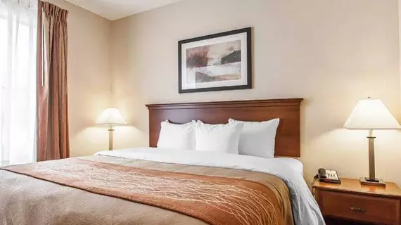 Comfort Inn & Suites Atoka | Tennessee - Memphis (ve civarı) - Atoka