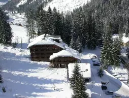 Les Lans | Auvergne-Rhone-Alpes - Haute-Savoie (bölge) - Morzine - Les Prodains