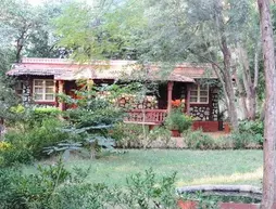 Tiger Moon Resort | Racastan - Sawai Madhopur