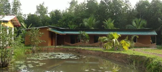 Mangrove Villa | Southern Province - Galle Bölgesi - Bentota