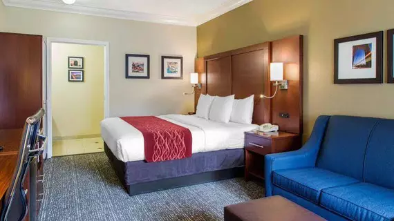 Comfort Inn & Suites San Francisco Airport North | Kaliforniya - San Fransisko (ve civarı) - South San Francisco