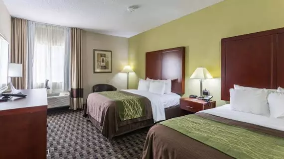 Comfort Inn Decatur | Alabama - Huntsville (ve civarı) - Decatur - Priceville