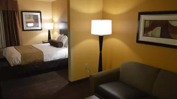 Best Western Plus Vermilion River Inn & Suites | Louisiana - Lafayette (ve civarı) - Lafayette