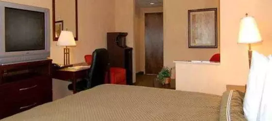 Comfort Suites Jacksonville | Florida - Jacksonville (ve civarı) - Jacksonville