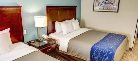 Comfort Inn Lake Charles | Louisiana - Lake Charles (ve civarı) - Lake Charles