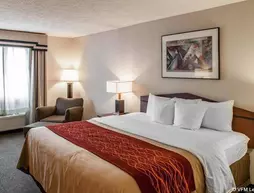 Comfort Inn Indianapolis | Indiana - Indianapolis (ve civarı) - Indianapolis