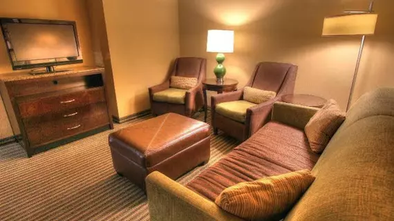 HILTON GARDEN INN GATLINBURG | Tennessee - Gatlinburg - Pigeon Forge (ve civarı) - Gatlinburg