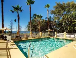 Comfort Suites Clearwater – Dunedin | Florida - St. Petersburg - Clearwater (ve civarı) - Clearwater