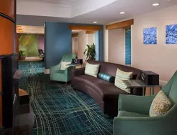 SpringHill Suites by Marriott New Orleans DT/Convention Ctr | Louisiana - New Orleans (ve civarı) - New Orleans - Lower Garden District bölgesi